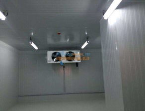 南寧醫(yī)藥冷庫 大量供應(yīng)品質(zhì)可靠的冷庫 廣西南寧市弘雪制冷設(shè)備