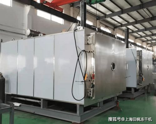 凍干面膜生產(chǎn)設(shè)備和技術(shù)