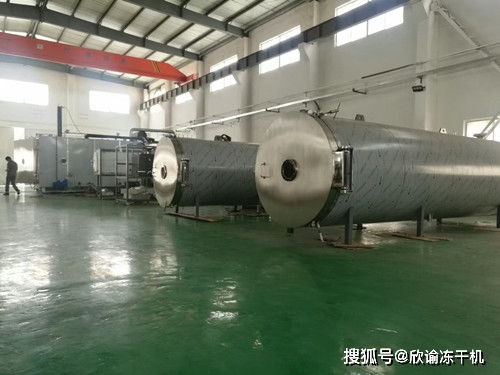 真空冷凍干燥機(jī)干燥過程中與溫度之間有何關(guān)聯(lián)